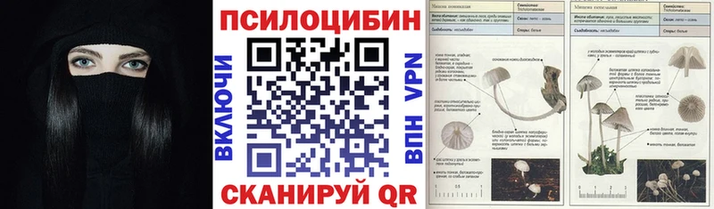 Псилоцибиновые грибы прущие грибы Кедровый