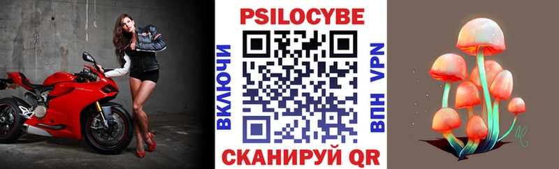 blacksprut ССЫЛКА Кедровый Галлюциногенные грибы GOLDEN TEACHER